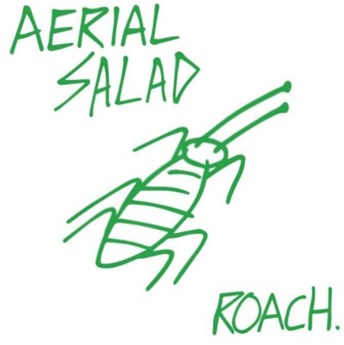 Aerial Salad Roach Cover